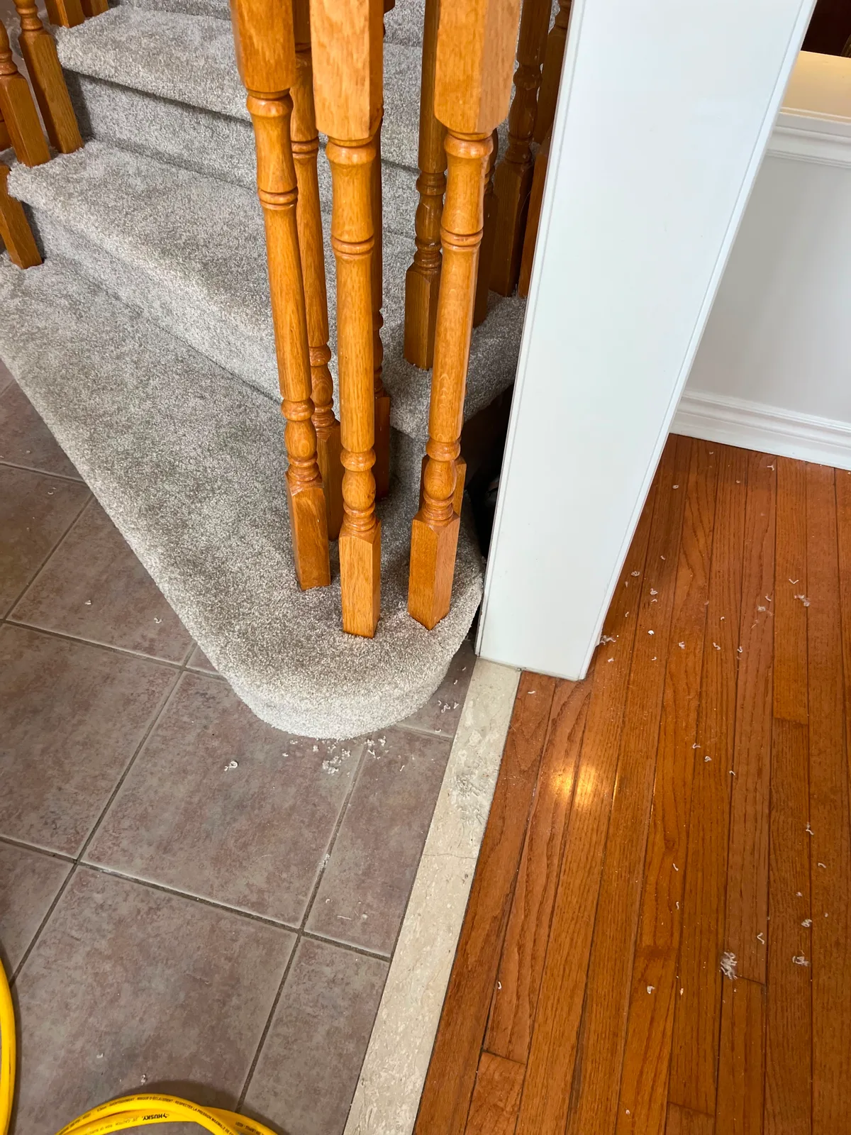 The edge where the stair carpet meets the hardwood floor at the foot of the flight, cut to follow the curve of the step